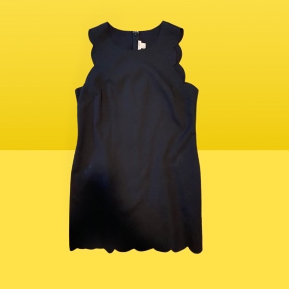 Scallop LBD